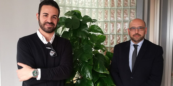 El servicio de asesoría es rentable para las empresas