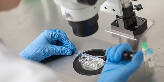 Protección del embarazo, declarado nulo el despido a trabajadora en tratamiento de fecundación in vitro