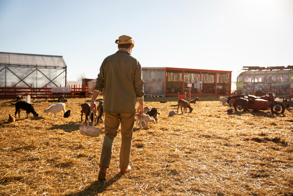 Nuevas modificaciones en el IRPF para el sector agrícola y ganadero