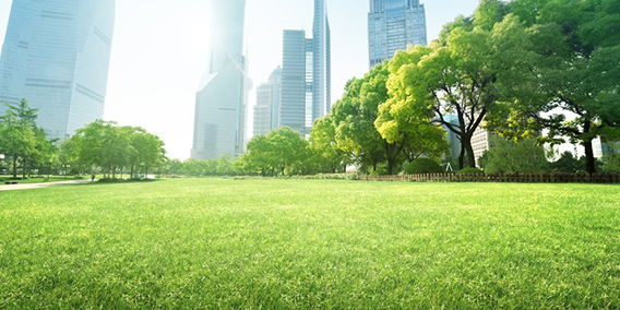 TC. HACIENDAS LOCALES. Impuesto sobre el Incremento del Valor de los Terrenos de Naturaleza Urbana