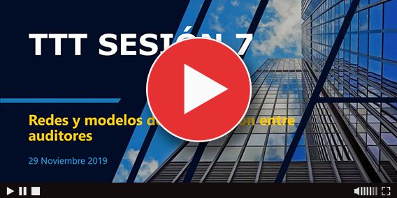 Redes y modelos de colaboración entre auditores