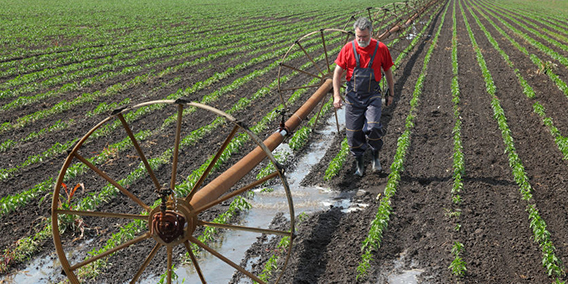 Sistema Especial para Trabajadores por Cuenta Ajena Agrarios. Pago diferido de las cuotas