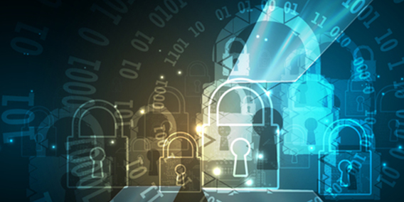 El valor de la protección de datos para las empresas