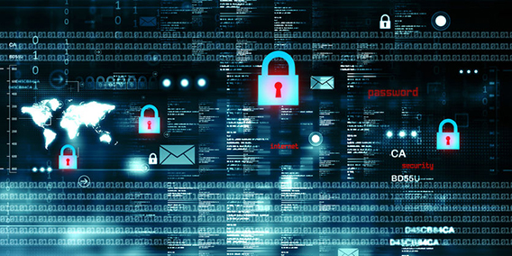 El nuevo rol de las organizaciones en la protección de datos