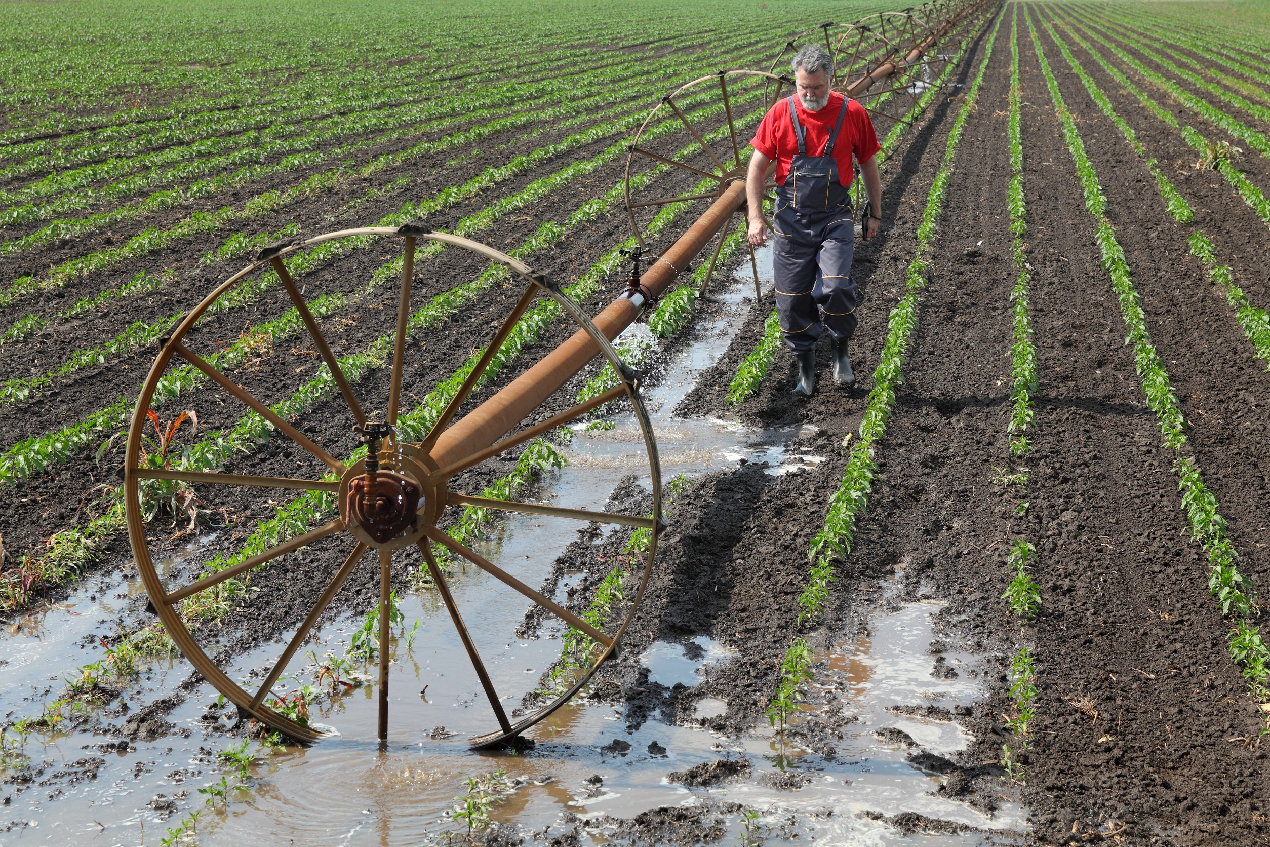 Medidas de liquidez para empresas y autónomos del sector agrario