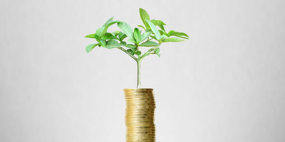 Planes de incentivos a empleados e IS