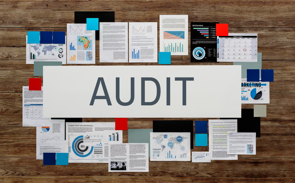 La nueva NIA para Entidades Menos Complejas (EMC). Un reto para la profesión auditora