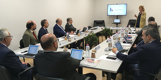 Reunión del Consejo Consultivo de ASEPEYO en Castilla la Mancha