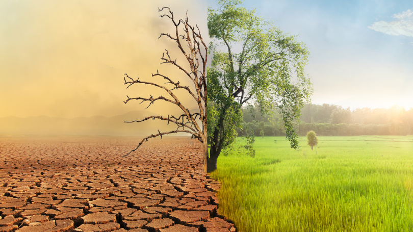 Cambio climático. La preocupación que más crece entre las pymes en 2023
